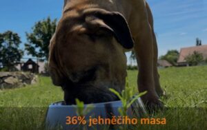 Test, recenze granule pro psy Brit Premium by Nature Sensitive - 36% jehněčího masa