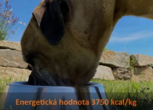 Test, recenze granule pro psy Calibra Dog Premium Line - Energetická hodnota