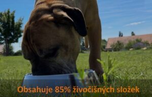 Test, recenze granule pro psy Orijen Original - 85% živočišných složek