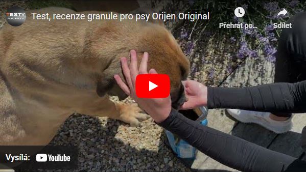 Videorecenze granule pro psy Orijen Original