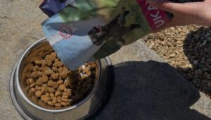 Eukanuba Adult Large Breed