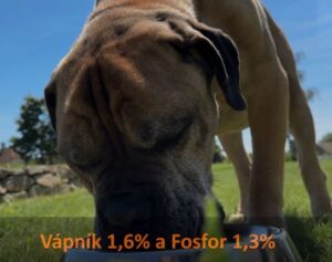 Granule pro psy Carnilove Lamb & Wild Boar for adult dogs