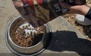 Test, recenze granule pro psy Carnilove Lamb & Wild Boar