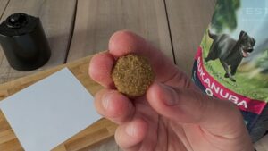 Test, recenze granule pro psy Eukanuba Adult Large Breed - velikost