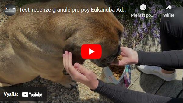 Videorecenze granule pro psy Eukanuba Adult Large Breed