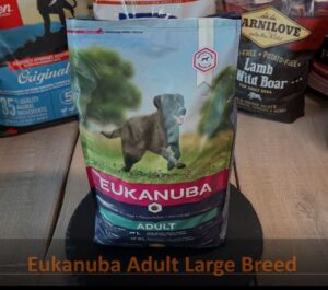 Eukanuba Adult Large Breed