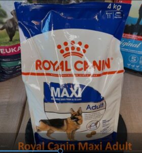 Royal Canin Maxi Adult