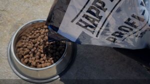 Test, recenze granule pro psy Happy Dog