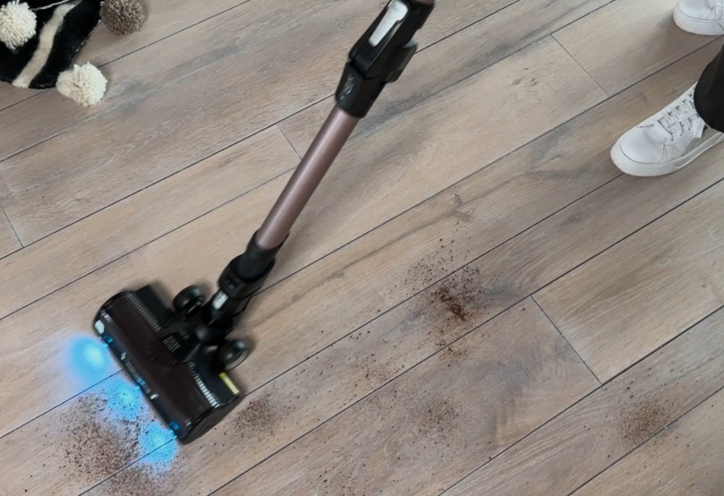 Rowenta X-Force Flex 16.60 Animal Auto